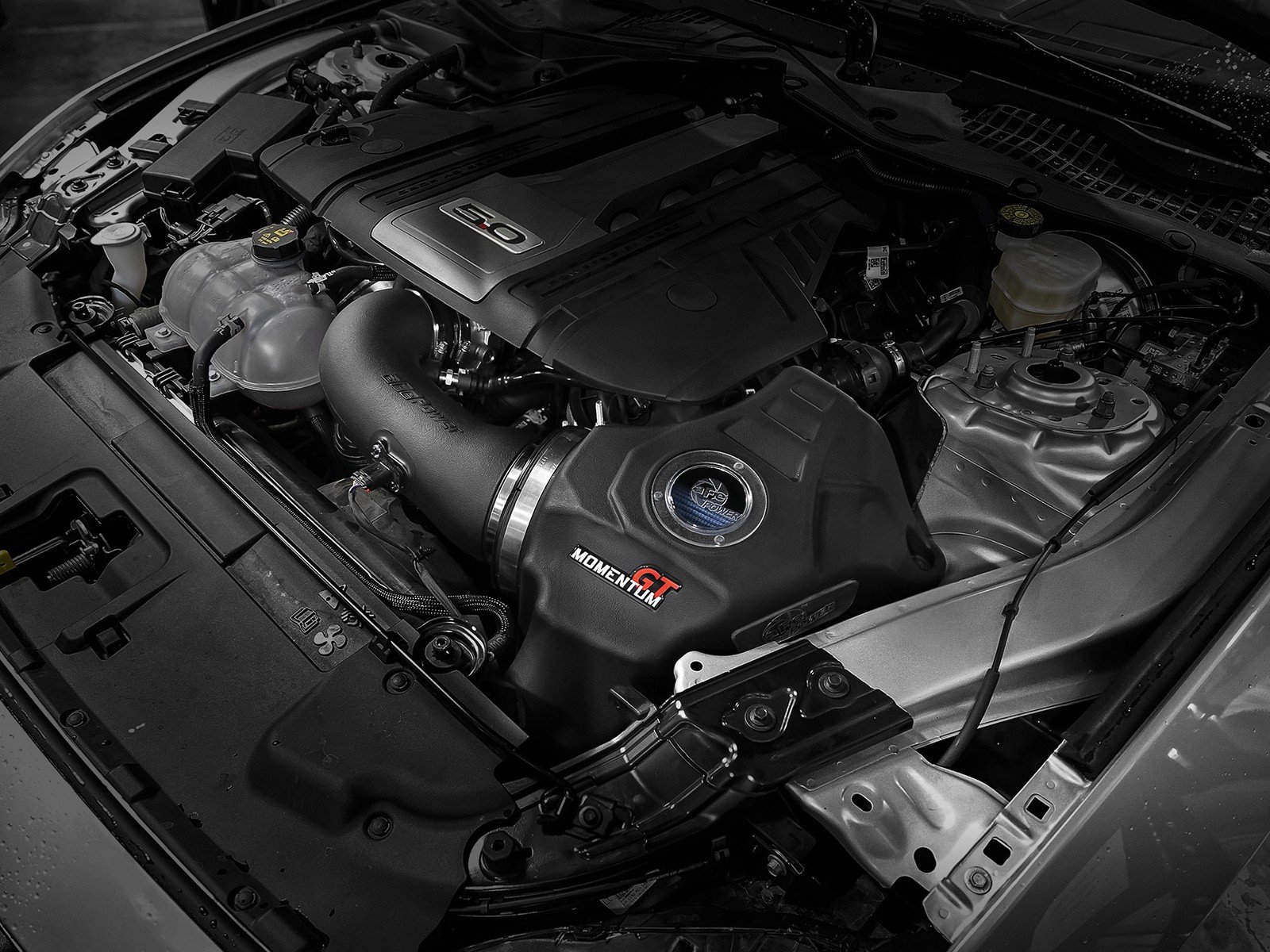 Mustang GT 5.0 Coyote aFe Momentum Intake
