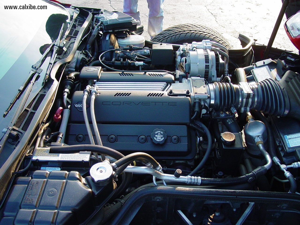 Chevy LT1 Engine Problems