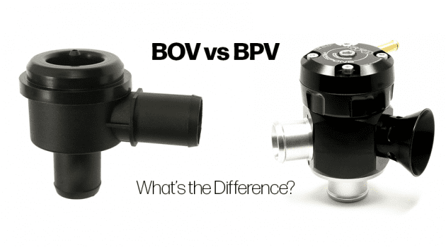bov-vs-bpv